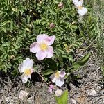 Judith Banks - @wunschjudith - Instagram