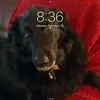 judithbartel1 - @judithbartel1 - TikTok