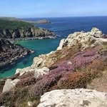 Judith Beal - @judithbeal1 - Instagram