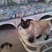 Judith Beam - Facebook