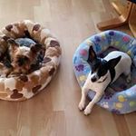 Judith Beck - @transport.beck - Instagram