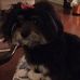 Judith Beck - Facebook