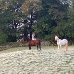 Judith Beck - @judithbeck41 - Instagram