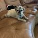 Judith Beeler - Facebook