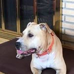 Judi Behrens - @judithia54 - Instagram