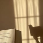 judith | bookstagram - @bookcornerbyjudith - Instagram