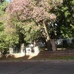 Judith Botti - @judith.botti.752 - Instagram