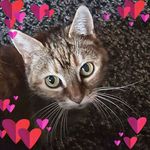 Judith Bottome - @judithbottome - Instagram