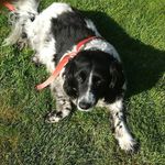 Judith Anne Bowen - @judith.a.bowen.1 - Instagram