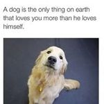 Judith Bowen - @bowen.judith - Instagram