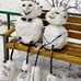 Judy Breslin Hickerson - Facebook