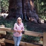 Judith Brittain - @judithbrittain6730_ - Instagram