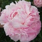 Judith Brittain - @brittainjudith - Instagram