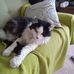 Judith Broome - Facebook