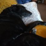 Judith Broome - @judiblue.1 - Instagram