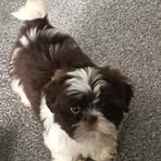 Judith Broome - Facebook