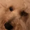 jude broussard - @jude.broussard77 - TikTok