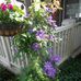 Judith Cagle Rook Herndon - Facebook