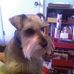 Judith Vance Cagle - Facebook