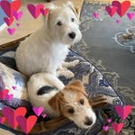 Judith Diane Spence Calvert - @jdcjudy - Instagram