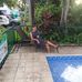 Judith Cañada Caño - Facebook