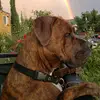 judithhendry641 rude jude - @judithhendry64_gocanada - TikTok