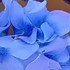 judithgonzlezcarl - @judithgonzlezcarl - TikTok