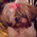 Judith Marie Carrier - Facebook
