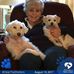Judith Castle - Facebook