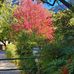 Judith Cathcart - Facebook