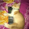 JudithCatcat - @judithcatcat - TikTok