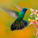 Judith Centeno - Facebook
