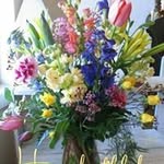 Judi Holloway-Chambliss - @hollowaychambliss - Instagram