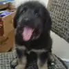 Judith Chaves - @judith.chaves7 - TikTok