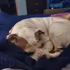 Judith A Harding Cloud - @judith.a.harding - TikTok