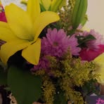 Judith Cloud - Facebook