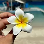 Judith Brito Concepción🌻 - @judibrito - Instagram