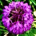 Judith Constable - Facebook