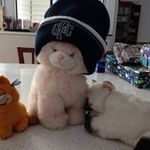 Judith Constable - @constablejudith - Instagram