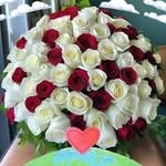 Judith Cooley - @judith375668 - Instagram