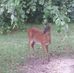 Judi Corbett Glover - Facebook