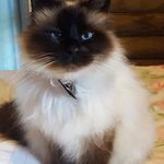 Judith Corbett - @judithcorbett4592 - Instagram