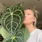 Judith Cotterill - @judithsplantyjungle - Instagram