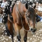 Judith Cotterill - Facebook