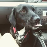 Judith Crane - @judithhunt757 - Instagram