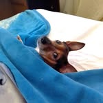 Judith Crane - @judith.crane.9231 - Instagram