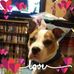 Judith Crane - Facebook