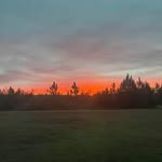 Judith Crossman - @rc636605 - Instagram