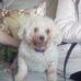 Judy Crowder - Facebook