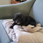 Judith Crumpler - @crumpler.judith - Instagram